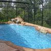 Seminole Woods2